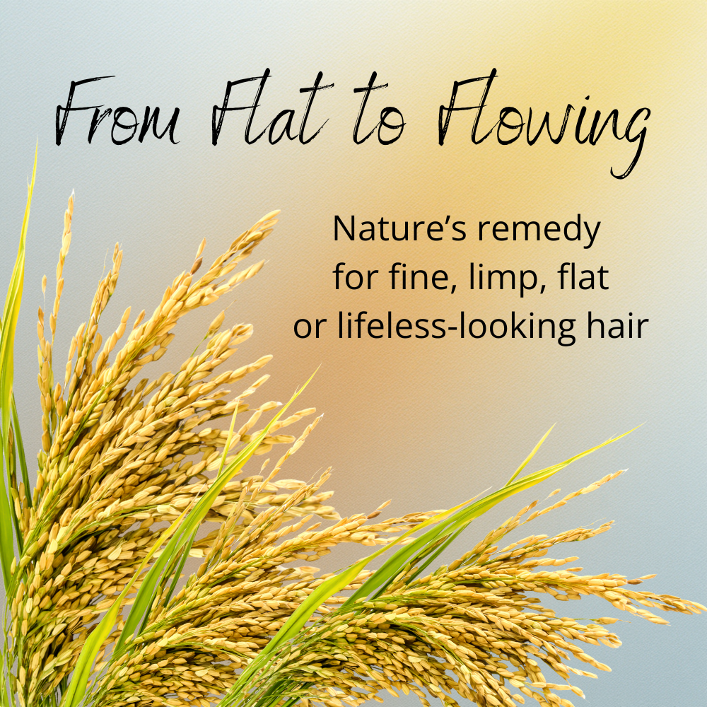 Rice Volumizing Shampoo | For Fine, Limp Hair